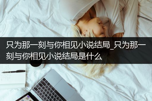 只为那一刻与你相见小说结局_只为那一刻与你相见小说结局是什么